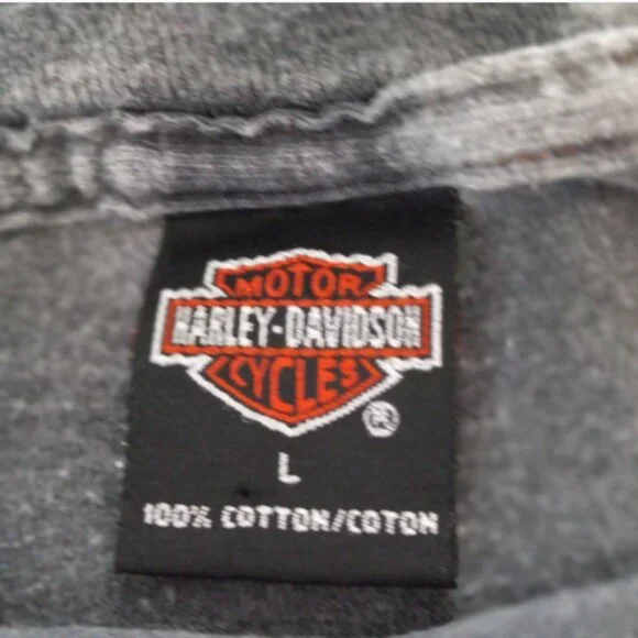 Genuine Harley-Davidson Men’s T-Shirt Sz Large Gray New Smyrna Beach Florida - Picture 9 of 12